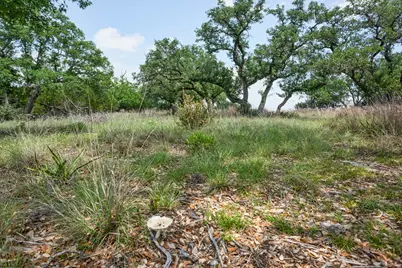 127 El Nopal Drive, Blanco, TX 78606 - Photo 17