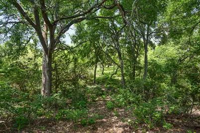127 El Nopal Drive, Blanco, TX 78606 - Photo 7