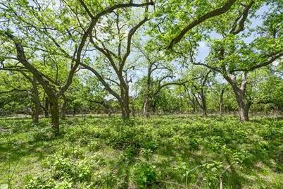 127 El Nopal Drive, Blanco, TX 78606 - Photo 5