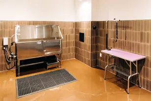 4315 S Congress Ave, Austin, TX 78745 - Photo 17