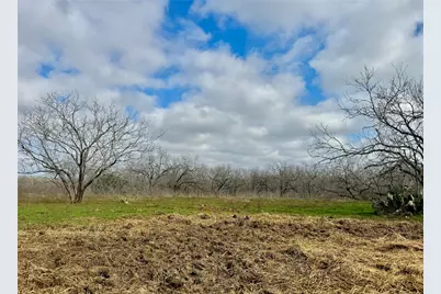 1118 County Road 447, Waelder, TX 78959 - Photo 7