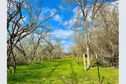 1118 County Road 447, Waelder, TX 78959 - Photo 11