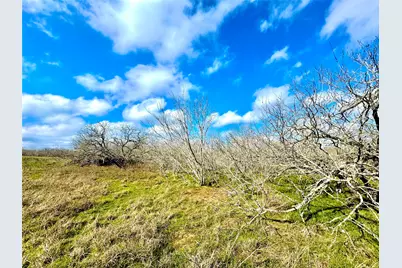 1118 County Road 447, Waelder, TX 78959 - Photo 13