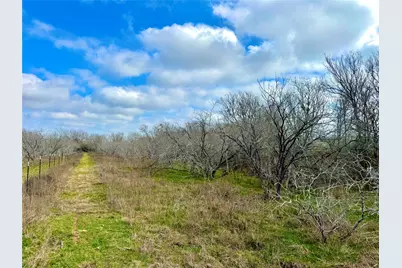 1118 County Road 447, Waelder, TX 78959 - Photo 9