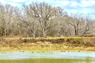 1118 Co Rd 447, Waelder, TX 78959 - Photo 1