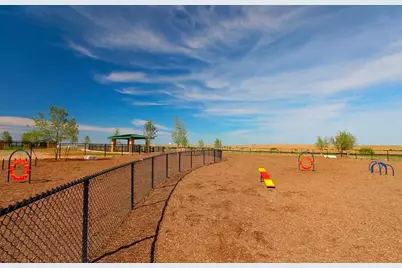 384 Papaya Drive, Buda, TX 78610 - Photo 21