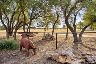 2700 County Road 282 Rd, Leander, TX 78641 - Photo 7