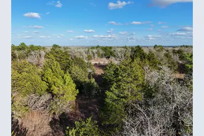 Lot 14 Antioch Road, Paige, TX 78659 - Photo 7