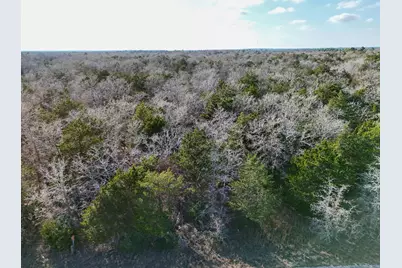 Lot 14 Antioch Road, Paige, TX 78659 - Photo 5