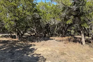 4513 Destination Wy, Jonestown, TX 78645 - Photo 31