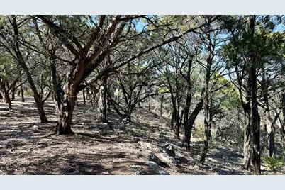 4513 Destination Way, Jonestown, TX 78645 - Photo 29