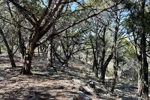 4513 Destination Wy, Jonestown, TX 78645 - Photo 29