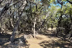 4513 Destination Wy, Jonestown, TX 78645 - Photo 25