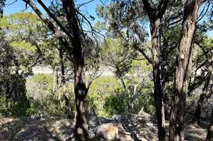 4513 Destination Wy, Jonestown, TX 78645 - Photo 17