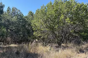 Lot K10037 Drew Drop, Horseshoe Bay, TX 78657 - Photo 1