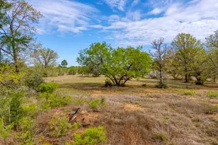 185 E Broken Tree Ln, Smithville, TX 78957 - Photo 31