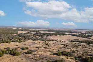 659 Shin Oak Dr, Lampasas, TX 76550 - Photo 9