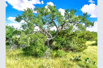 Tbd Oakwood Loop, San Marcos, TX 78666 - Photo 3