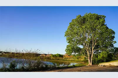 5705 Brocade Drive, Austin, TX 78724 - Photo 33