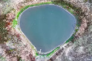 137 Shady Oaks Loop, Cedar Creek, TX 78612 - Photo 7