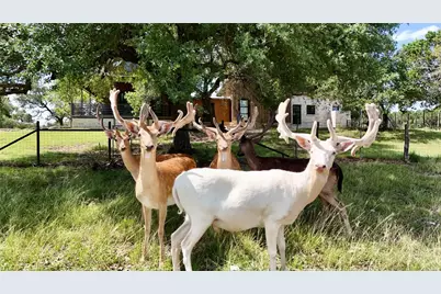 110 Clear Pond Court, Spring Branch, TX 78070 - Photo 7