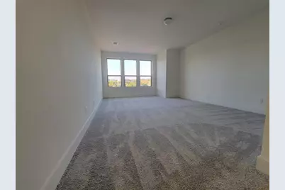 4607 Flameleaf Sumac Drive, Austin, TX 78738 - Photo 5