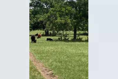 2029 County Road 200, Burnet, TX 78611 - Photo 1