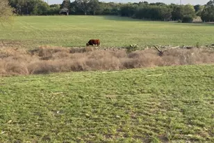 2029 Co Rd 200, Burnet, TX 78611 - Photo 15