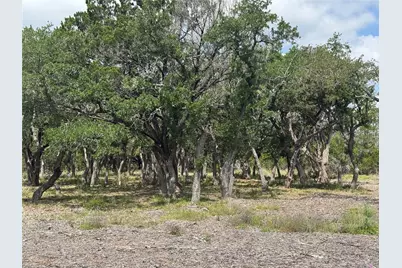 Lot 37 Riparian Elm Road, Bertram, TX 78605 - Photo 3