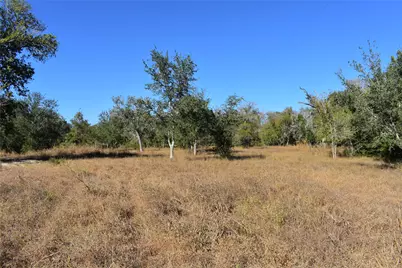 Tbd Cr 481, Gonzales, TX 78629 - Photo 9
