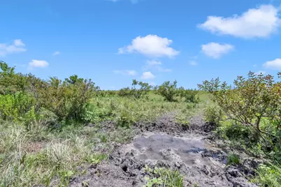 11064 County Road 210 Road, Bertram, TX 78605 - Photo 15