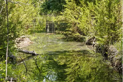 1128 Posey Ranch Road, Fischer, TX 78623 - Photo 29