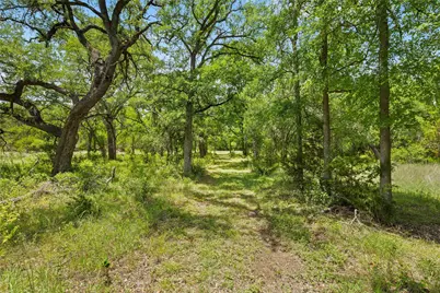 1128 Posey Ranch Road, Fischer, TX 78623 - Photo 35