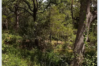 Tbd Post Oak Rim Drive, Bastrop, TX 78602 - Photo 13