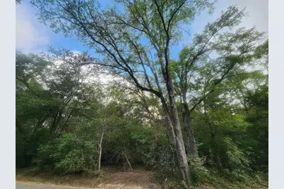 Tbd Post Oak Rim Drive, Bastrop, TX 78602 - Photo 9