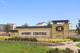 2512 Violet Theo Ln, Round Rock, TX 78665 - Photo 37