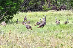Tbd Cr 206, Burnet, TX 78611 - Photo 15
