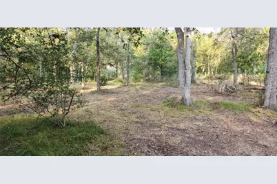 194 Fm 2104, Smithville, TX 78957 - Photo 5