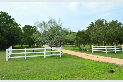 218 Texas Oak Drive, Cedar Creek, TX 78612 - Photo 3