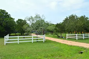 218 Texas Oak Dr, Cedar Creek, TX 78612 - Photo 3