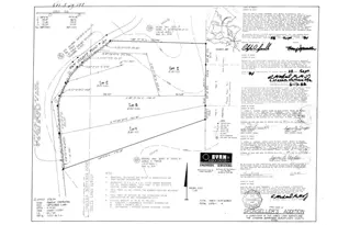 4016 McGregor Ln, Dripping Springs, TX 78620 - Photo 3