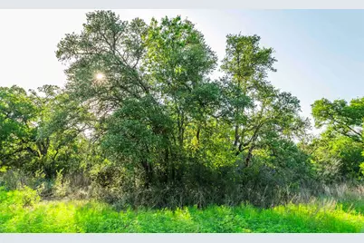 12175 N US Hwy 183, Florence, TX 76527 - Photo 19
