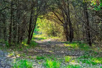 12175 N US Hwy 183, Florence, TX 76527 - Photo 21