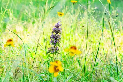 12175 N US Hwy 183, Florence, TX 76527 - Photo 25