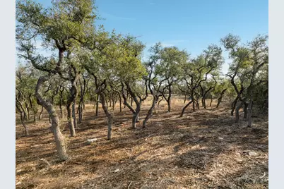 Tbd Mesa Alta Lane, Dripping Springs, TX 78620 - Photo 25