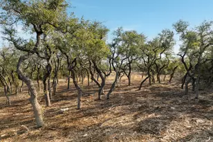 Tbd Mesa Alta Ln, Dripping Springs, TX 78620 - Photo 25