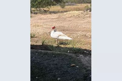 2160 County Road 204, Liberty Hill, TX 78642 - Photo 17