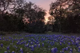 1751 Co Rd 255, Georgetown, TX 78633 - Photo 29