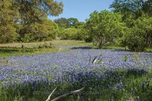 224 Menlo Bnd, Liberty Hill, TX 78642 - Photo 9