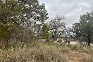 Lot 261 W Briarway Dr, Granite Shoals, TX 78654 - Photo 3